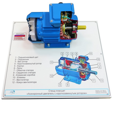 Планшет светодинамический «асинхронный двигатель с короткозамкнутым ротором» - «globural.ru» - Мытищи