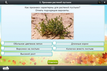 Интерактивные курсы. Окружающий мир 3 класс. Базовый - «globural.ru» - Мытищи
