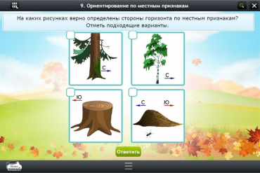 Интерактивные курсы. Окружающий мир 1 класс. Базовый - «globural.ru» - Мытищи