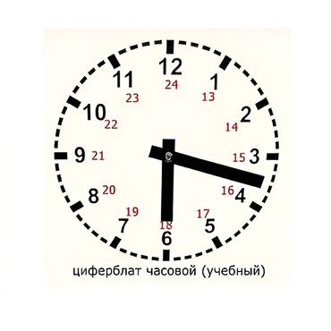 Часовой циферблат раздаточный - «globural.ru» - Мытищи