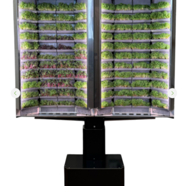 Вертикальная  ферма «Моя микрозелень» комплектация  «Театро настенная» - «globural.ru» - Мытищи