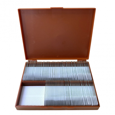 Комплект микропрепаратов по анатомии, ботанике, зоологии, общей биологии - «globural.ru» - Мытищи