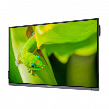Интерактивный программно-аппаратный комплекс Geckotouch Interactive IP75GT-C в комплекте с настенным креплением - «globural.ru» - Мытищи