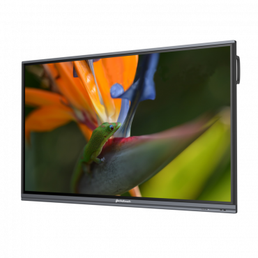Интерактивный программно-аппаратный комплекс Geckotouch Interactive Pro IP75HT-E в комплекте с настенным креплением - «globural.ru» - Мытищи