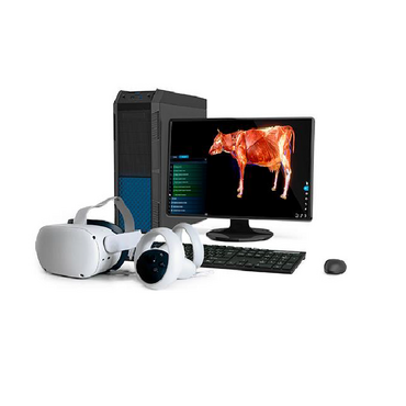 Интерактивный учебный комплекс «Анатомия Коровы» - «globural.ru» - Мытищи