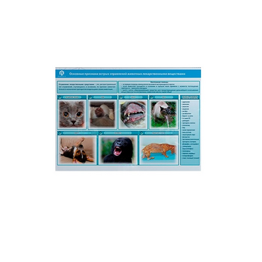Стенд-планшет светодинамический «Острые отравления животных лекарственными препаратами» - «globural.ru» - Мытищи