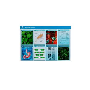 Стенд-планшет светодинамический «Изучение экологии бактерий» - «globural.ru» - Мытищи