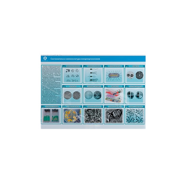 Стенд-планшет светодинамический «Изучение систематики и номенклатуры микроорганизмов» - «globural.ru» - Мытищи
