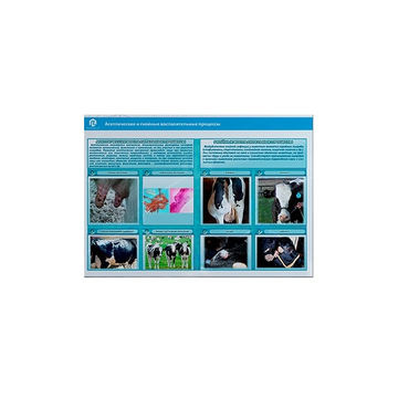 Стенд-планшет светодинамический «Изучение асептических и гнойных воспалительных процессов» - «globural.ru» - Мытищи