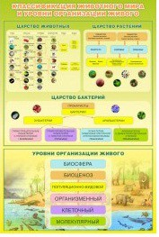 Стенд "Классификация животного мира" - «globural.ru» - Мытищи